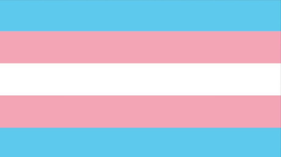 WFTDA Celebrates 2019 Transgender Day of Visibility